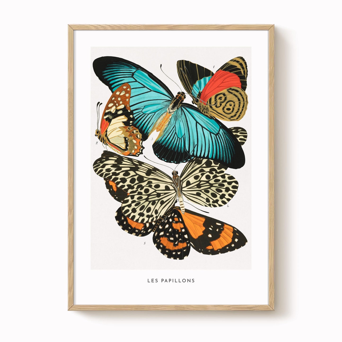 E.A. Séguy - Papillons Pl.11 Butterflies Print