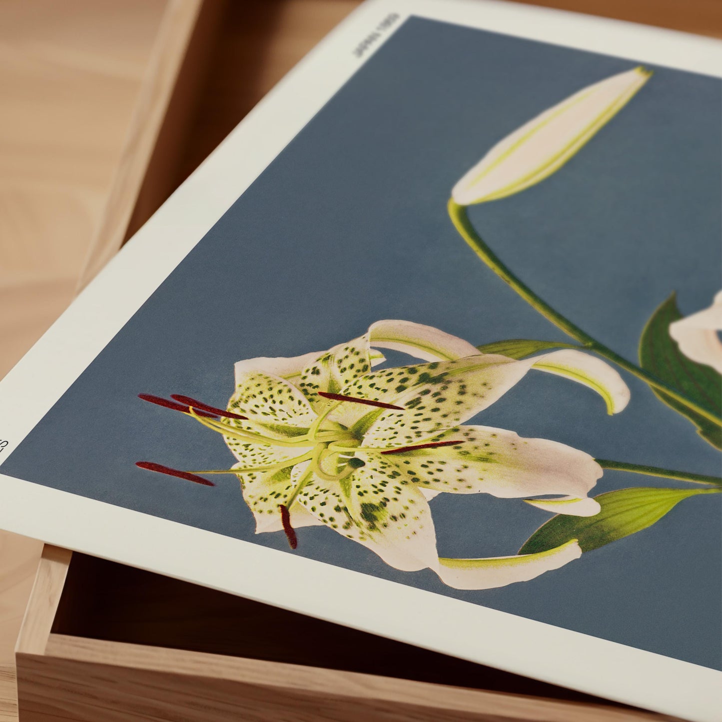 Ogawa Kazumasa - Lilies Print