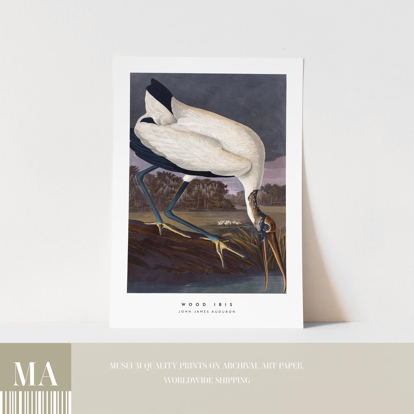 Wood Ibis Print