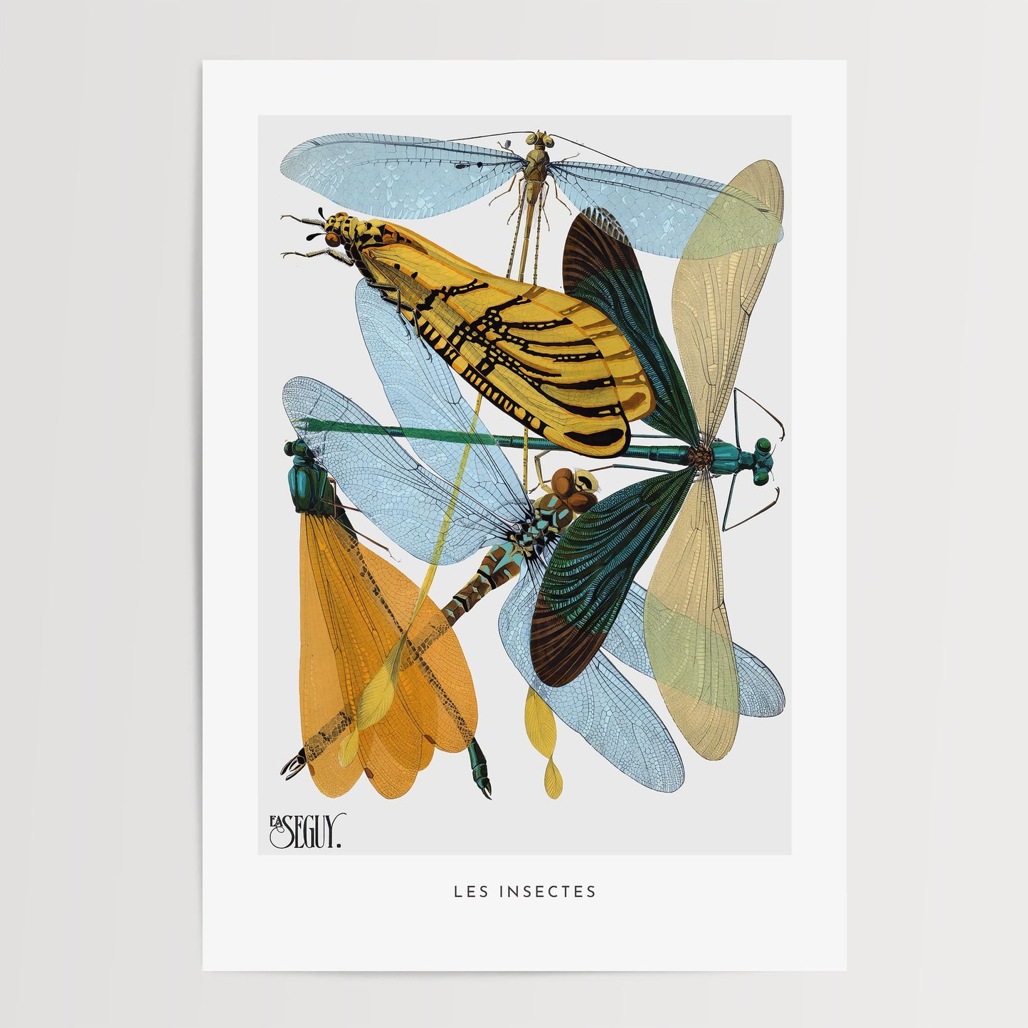 E.A. Séguy - Insectes Pl.20 Insect Study Print