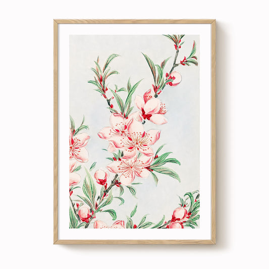 Megata Morikaga - Peach Tree Blossom Print