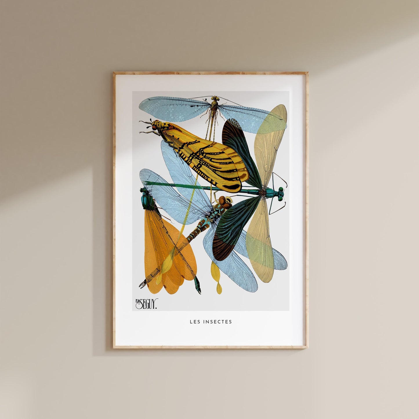 E.A. Séguy - Insectes Pl.20 Insect Study Print