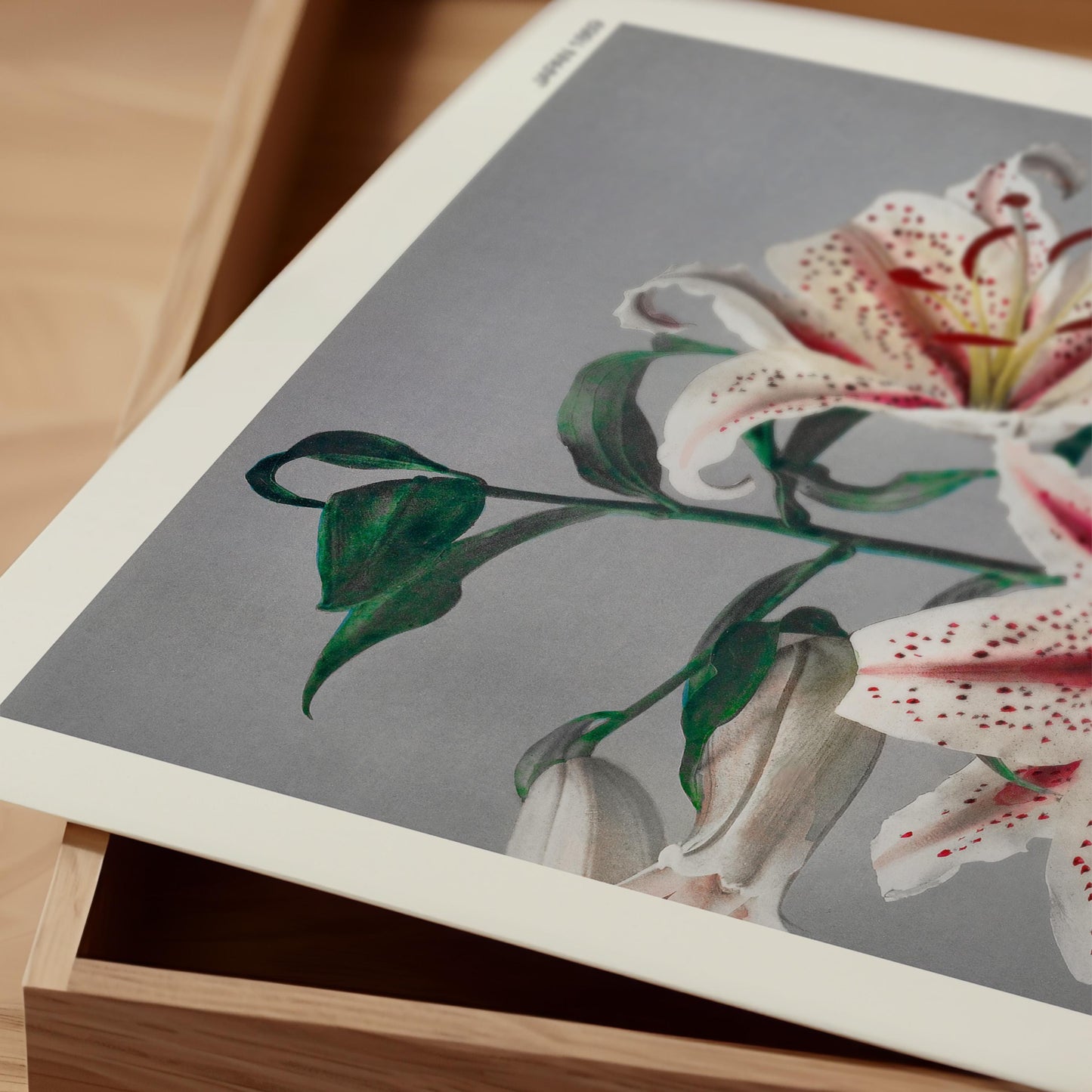 Ogawa Kazumasa - Lily Print