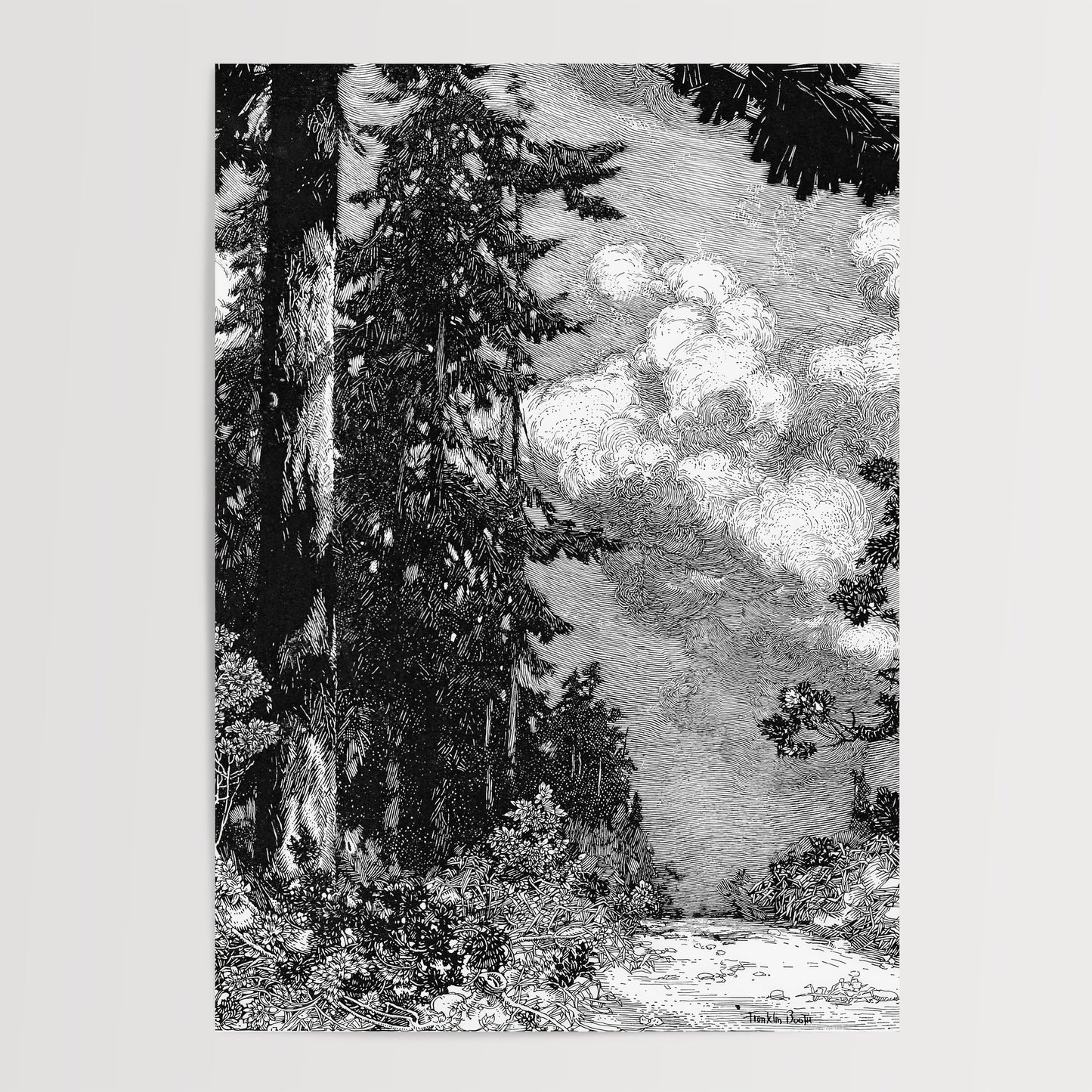 Franklin Booth - The Pine Print