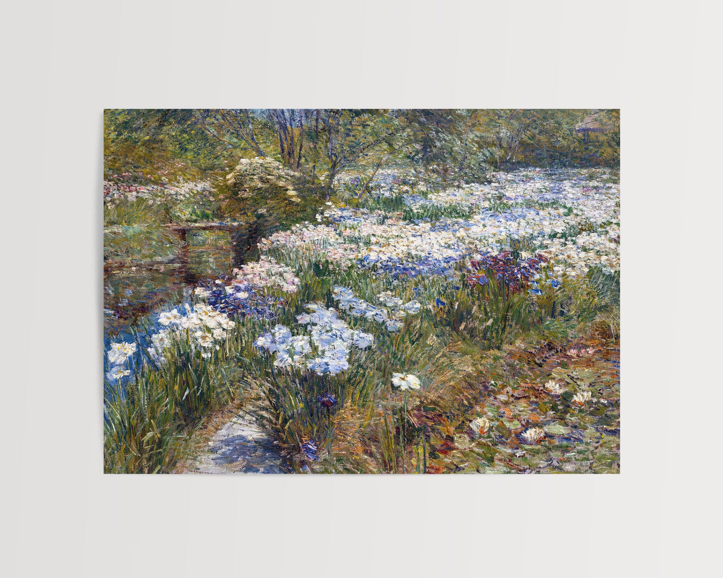 Childe Hassam - Blooming Irises and Lush Greenery Art Print