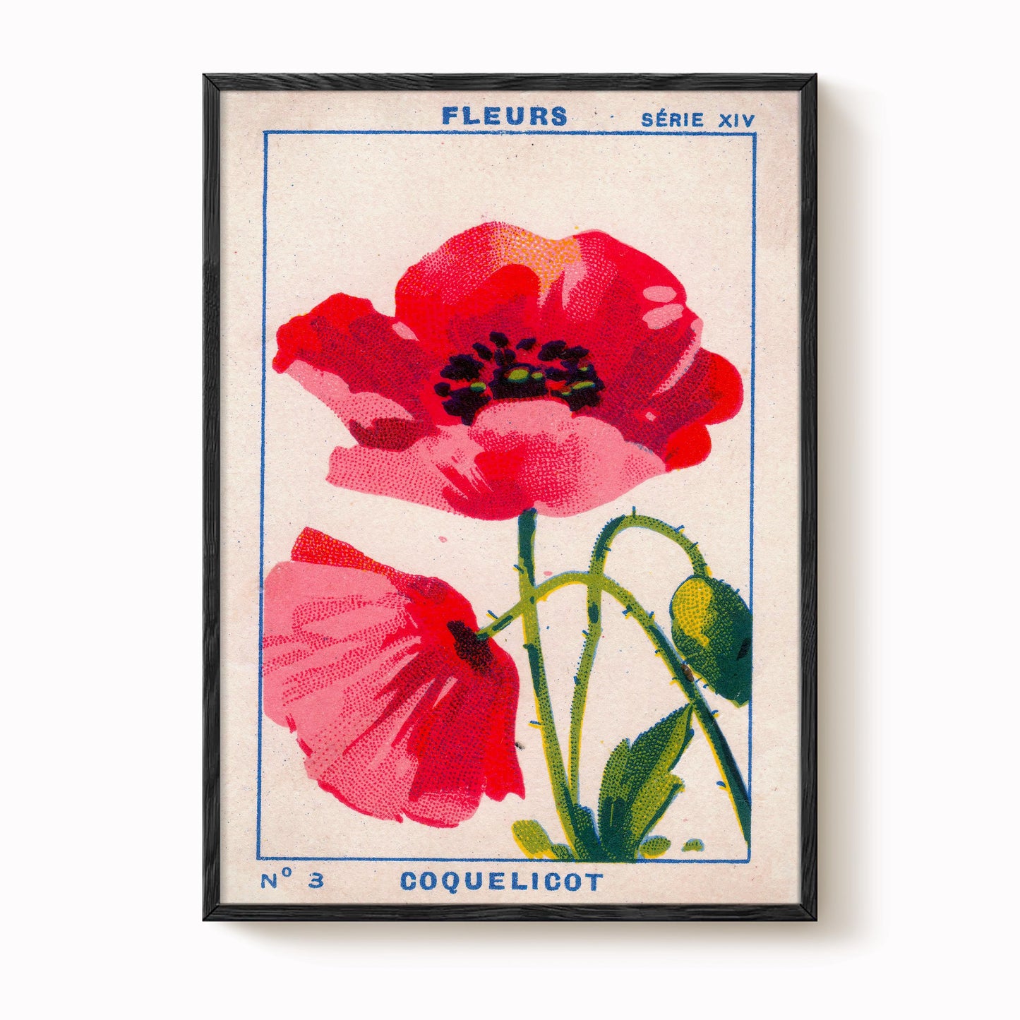 Vintage Poppy Print