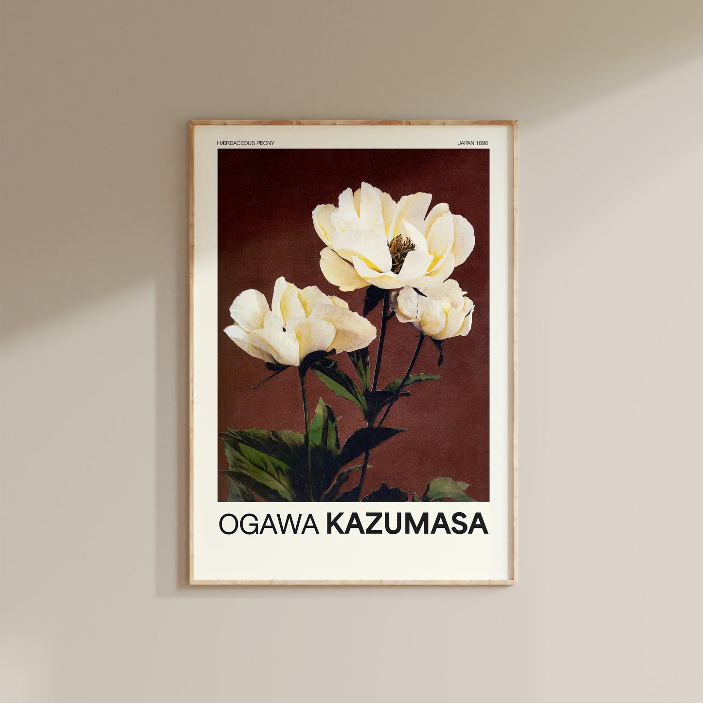 Ogawa Kazumasa - Herbaceous Peony Print