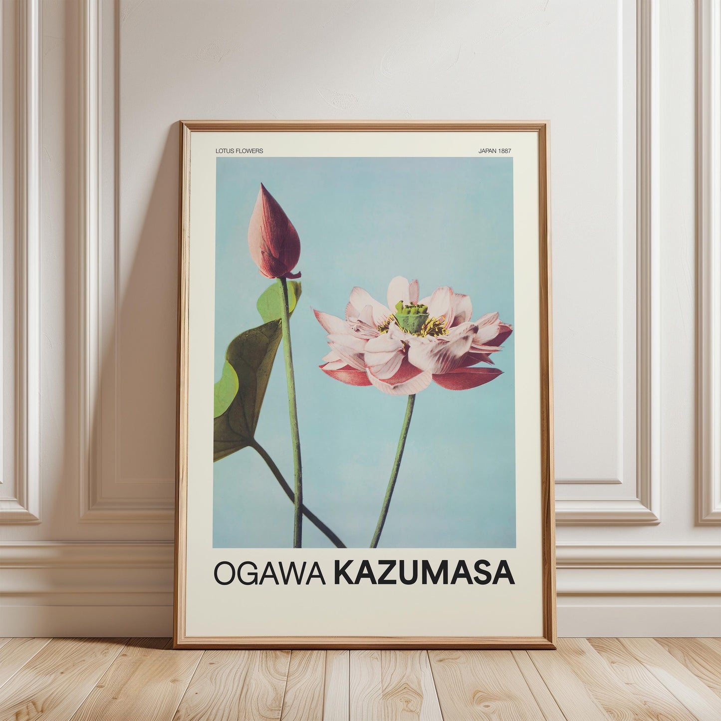 Ogawa Kazumasa - Lotus Flowers Print